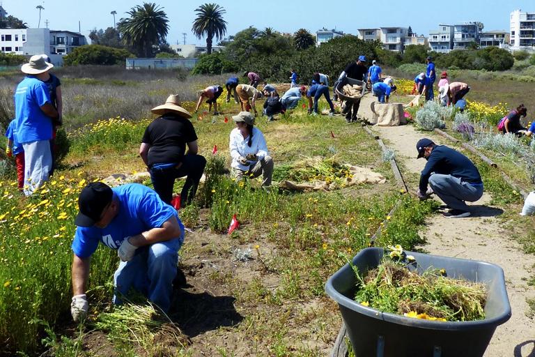 Community Groups Restore Wetlands Along Nova Scotia’s Eastern Shore